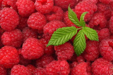 healthy background. raspberry texture. raspberries background. fruit background.