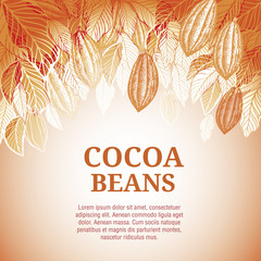 Cacao beans plant, Vector exotic cacao plants