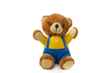 Soft toy Bear on white background