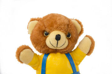 Soft toy Bear on white background