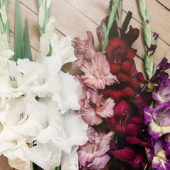 beautiful gladiolus in different colors flowers on wooden rustic background, arrangement concept, amazing wallpaper