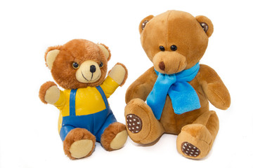 Stuffed Toys Bear on white background