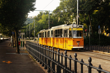 Fototapeta na wymiar beautiful yellow old tram at green park, public transport, Budapest city street, travel concept