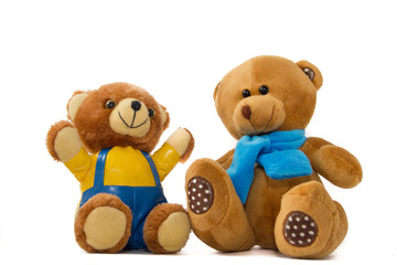 Stuffed Toys Bear on white background