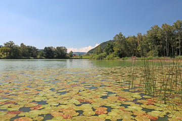 gerzensee, bern, schweiz 