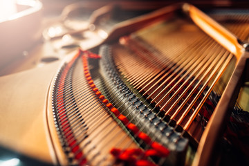 Inside grand piano, strings closeup, nobody