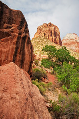 Fototapeta premium Slopes of Zion canyon. Utah. USA.