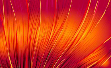 Abstract swirl bright background in orange color