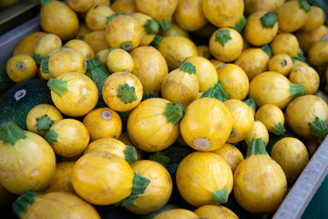 Organic summer squash at the farmers market