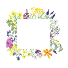 The pattern of the useful field of plants and flowers. Set of bright flowers and green leaves watercolor frame