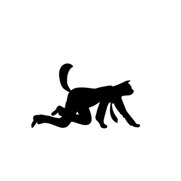 Silhouette cat business. Isolated animal go on all fours. Vector