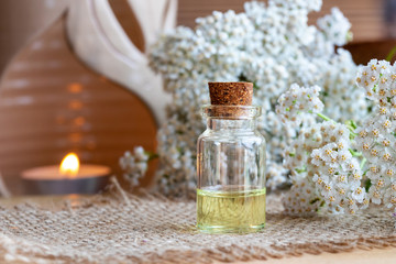 A bottle of yarrow essential oil with fresh blooming yarrow