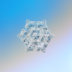 Snowflake glittering on light gradient background. Macro photo of real snow crystal: star plate...
