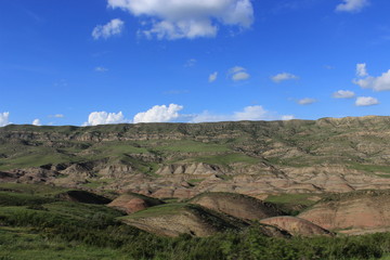 Green desert in georgia
