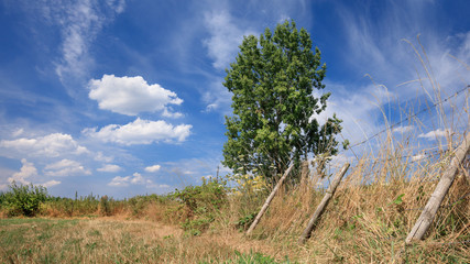 Countryside landscape with a sunny sky with dramatic cloud shapes, Ravels, Belgium.