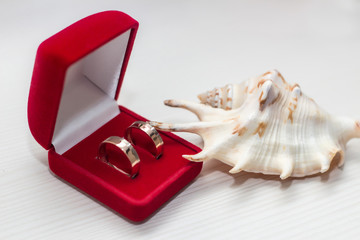 Closeup of two wedding rings with diamonds in a box and shell on background. Marriage gatherings in the morning.