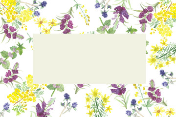 The pattern of the useful field of plants and flowers. Set of bright flowers and green leaves watercolor frame
