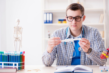 Medical student studying heart in classroom during lecture