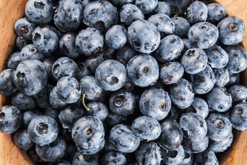 Fresh blueberries closeup.