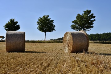 Strohballen