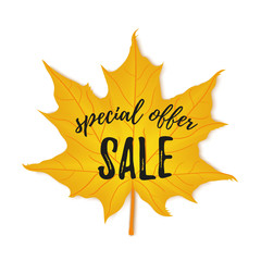 Autumn special offer sale flyer colorful template with bright october leaf. Poster, banner design for seasonal sale.