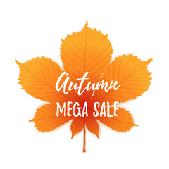 Autumn mega sale flyer colorful template with bright october leaf. Poster, banner design for seasonal sale.