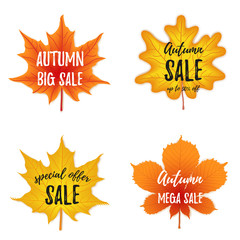 Vector autumn season banner collection. Set of four october leaves with greeting inscription, fall.