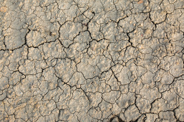 terre sèche qui craquelle de partout