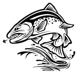 Obraz premium Rainbow trout