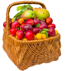 Naklejka na ściany i meble Basket with cherry plum and plums.