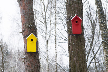 Naklejka premium Multi-colored birdhouses in the trees in the city Park. Winter.