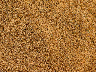 Grain from the bird's eye view