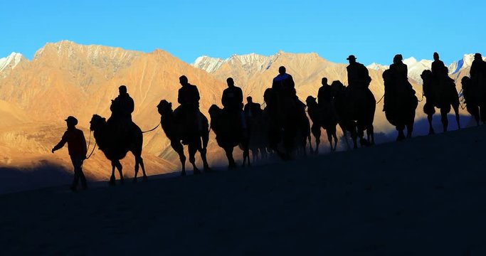 Sunset silhouette of tourists riding camels in Ladakh. Tourism in Himalaya region of northern India