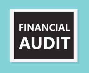 financial audit concept- vector illustration