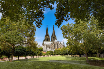 Kölner Dom mit Bäumen im Vordergrund