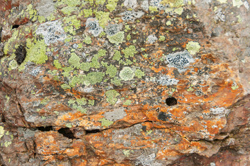 Texturas e padrões naturais em pedras
