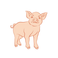 Hand drawn cartoon sketch of funny piggy. 2019 new year symbol.