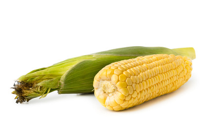 Ripe corn in the leaves and brushed on a white, isolated.