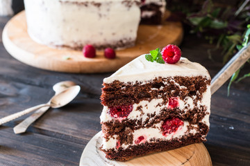 Portion of layered creamy fruit cake with in close up view. Raspberry cake with chocolate....