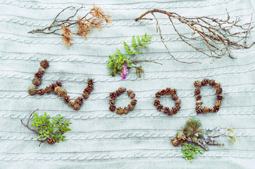 WOOD written with cones and decorated with plants and twigs.