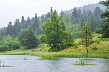 Lake in the mountains in rainy day, Upper Svaneti. Georgia