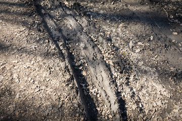 Track the wheels of the car on the road.