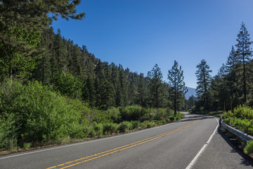 Forested Valley in Southern California