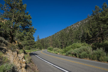 California Canyon Road in Pine Forest