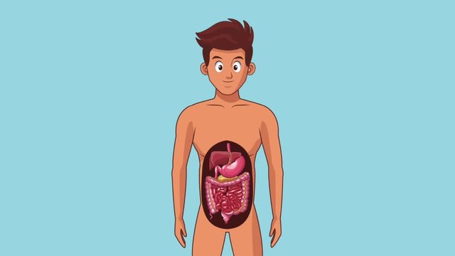 Young man digestive system cartoons High definition colorful scenes animation
