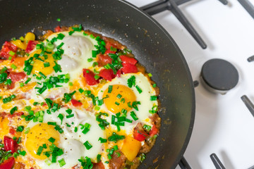 Morning Breakfast of fried eggs with vegetables and fresh herbs.