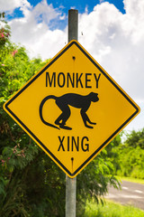 Monkey crossing traffic sign