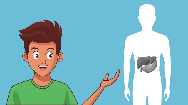 Young man showing digestive system cartoons High definition colorful scenes animation