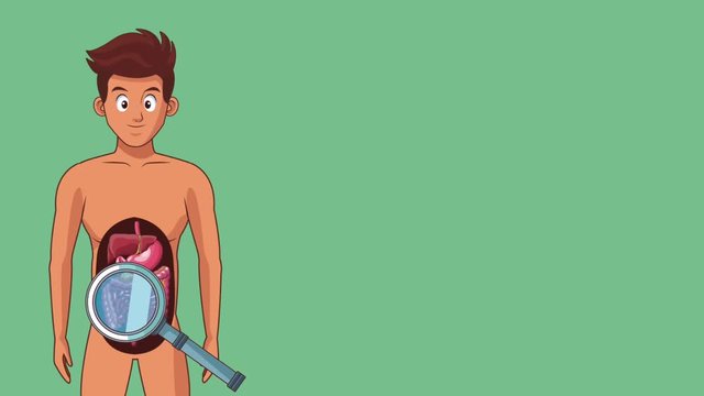 Magnifying glass looking digestive system cartoons High definition colorful scenes animation