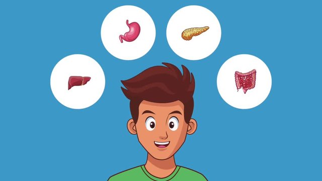 Young man with digestive system cartoons High definition colorful scenes animation